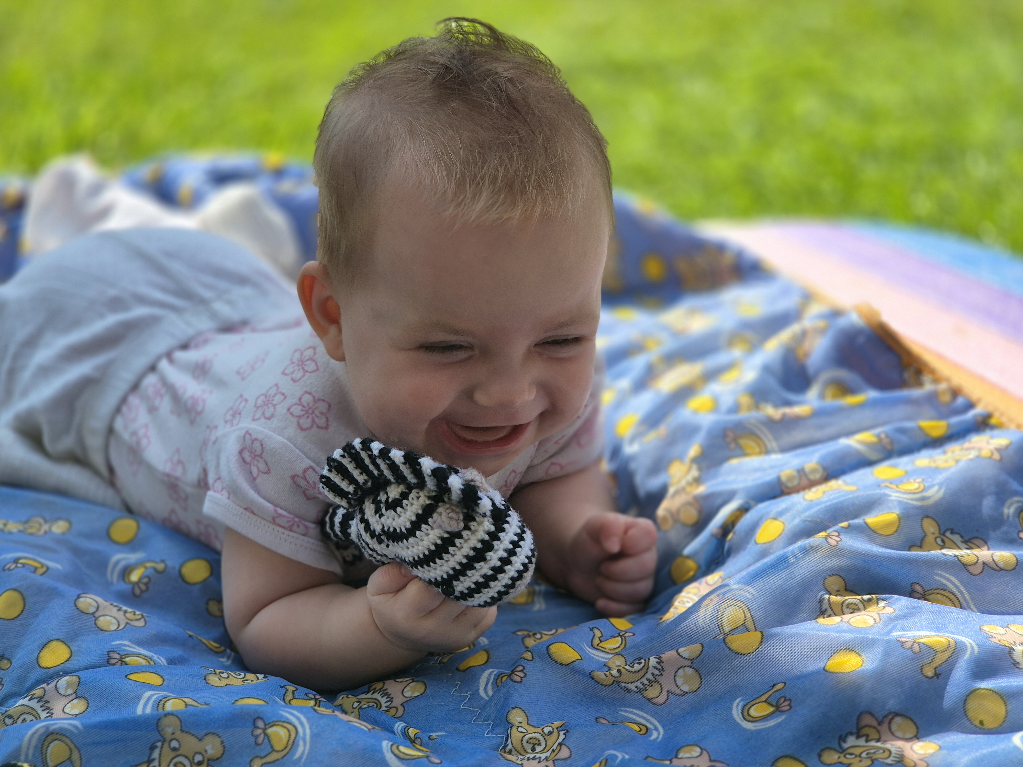 Baby Teether Zebra
